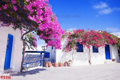 Tải xuống file tranh gốc File psd tường quán cà phê FT2350 (PSD/TIFF)