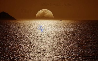 File ảnh File in tranh tường hiện đại FT23502 (gốc) in PP, decal