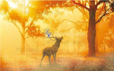 Download file gốc File in tranh tường hiện đại FT23503 (in lụa) hoa lá