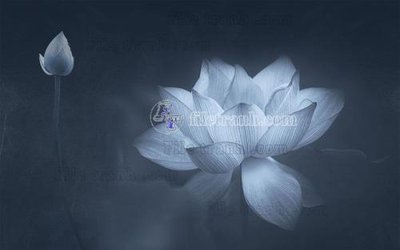 Tải file gốc File in tranh tường hiện đại FT23528 (in tráng gương) 3DFile gốc File in tranh tường hiện đại FT23528 (sẵn sàng in) chất lượng cao