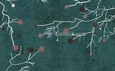 File gốc File in tranh tường hiện đại FT23688 (in tráng gương) ốp tường