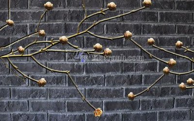 Tệp tin gốc File in tranh tường hiện đại FT23878 (chất lượng) File in tranh tường hiện đại FT23878