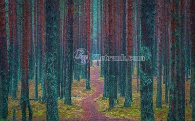 Tải file File in tranh tường hiện đại FT23996 (gốc) in trên mọi chất liệu