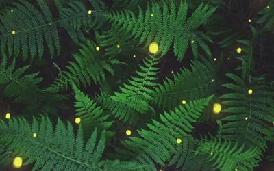 File tranh gốc File in tranh tường hiện đại FT24578 chủ đề hiện đại