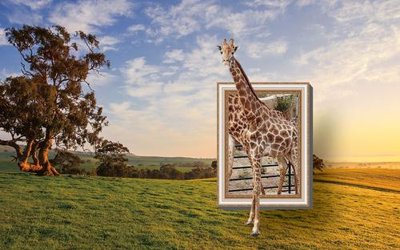 File gốc File in tranh tường hiện đại FT24605 (in lụa) chi tiết cao