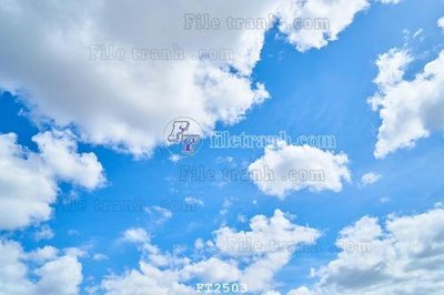 File tranh in tráng gương File psd tường quán cà phê FT2503 (siêu nét)