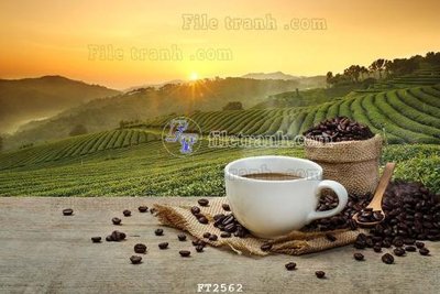 File PSD File psd tường quán cà phê FT2562 (bản gốc) dễ dàng edit