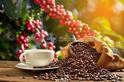 File gốc File psd tường quán cà phê FT2563 (ảnh rõ nét) để in