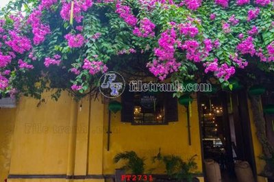 File in ấn chuyên nghiệp File psd tường quán cà phê FT2731 (file gốc)