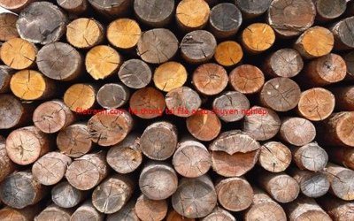 Tải về file gốc File tranh dán tường cà phê nhà hàng FT3085 (dùng cho in quảng cáo)