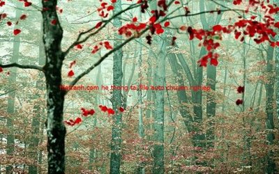 File tranh File tranh dán tường cà phê nhà hàng FT3237 (ảnh gốc) không bị mờ