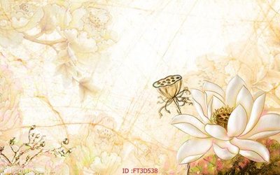 Tải file Tường nền 3D hiện đại FT3D538 (ảnh gốc) in tranh kính