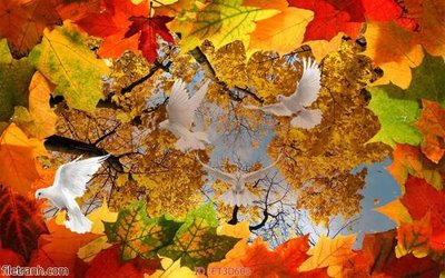 File tranh quảng cáo Tường nền 3D hiện đại FT3D603 (file gốc) chuyên nghiệp