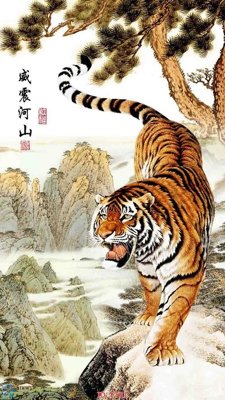 File in lụa File gốc tranh rồng hổ FTR1 (phong cảnh) File gốc tranh rồng hổ FTR1