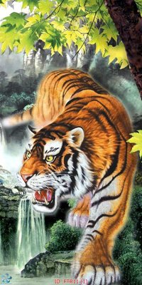 Tải file File gốc tranh rồng hổ FTR11 (gốc) in trên mọi chất liệu