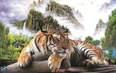 File tranh File gốc tranh rồng hổ FTR7 (ảnh gốc) sắc nét hoàn hảo