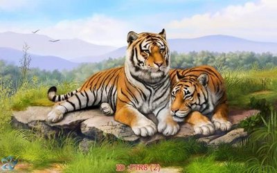 File tranh File gốc tranh rồng hổ FTR8 (file gốc) chủ đề phong thủy