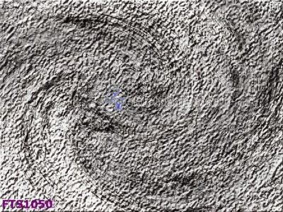 File tranh File in tranh tường hiện đại FTS1050 (gốc) chủ đề tĩnh vật