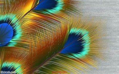 File PSD Tranh tường 3d tối giản hiện đại FTTG7061 (nguyên gốc) chất lượng cao