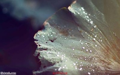 Tải file tranh Tranh tường 3d tối giản hiện đại FTTG7118 (gốc) tại Filetranh.com