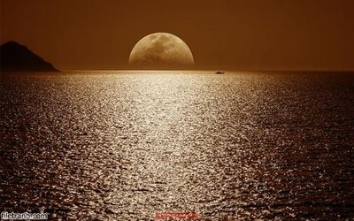 Tải file Tranh tường 3d tối giản hiện đại FTTG7135 (gốc) chủ đề phong thủy