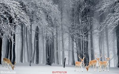 Tải file tranh gốc Tranh tường 3d tối giản hiện đại FTTG7139 chất lượng cao