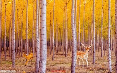 Ảnh gốc Tranh tường 3d tối giản hiện đại FTTG7428 (siêu chi tiết) để in ấn