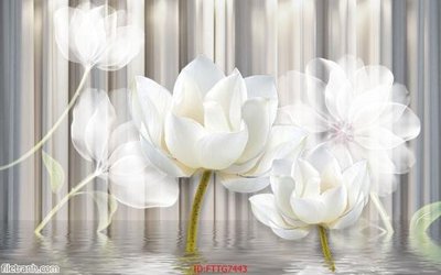 File ảnh Tranh tường 3d tối giản hiện đại FTTG7443 (gốc) in poster