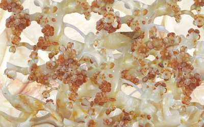 File tranh File tranh in tường giả ngọc GN3381 (ảnh gốc) in trần xuyên sáng