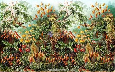 Tải file gốc File tranh giả ngọc GN453 (bản PSD) đầy đủ layer