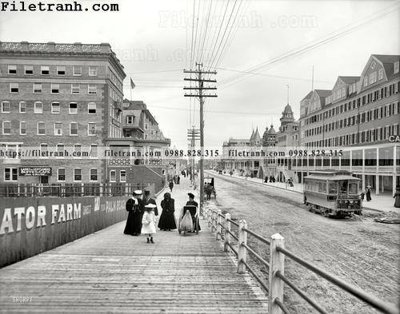 File gốc Gator Farm_ 1905 (in 3D) nghệ thuật