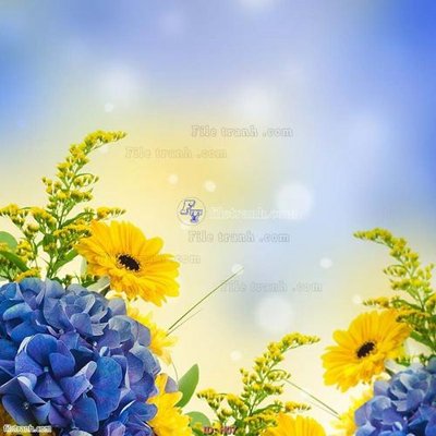 File tranh file tranh hoa H07 (ảnh gốc) độc quyền