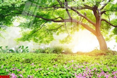 File tranh trang trí File tranh gốc in tranh tường nền tổng hợp H10023 (tải file gốc)