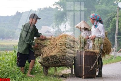 File gốc File tranh gốc in tranh tường nền tổng hợp H10040 cho in ấn và thiết kế