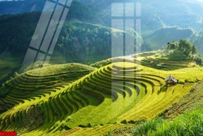 File gốc File tranh gốc in tranh tường nền tổng hợp H10083 (PNG) chất lượng cao