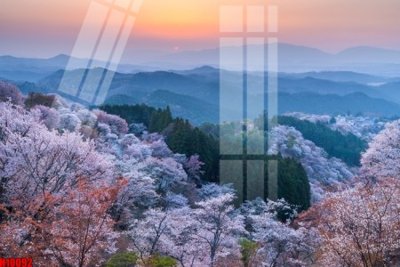 File tranh ảnh gốc File tranh gốc in tranh tường nền tổng hợp H10092 dùng cho in khổ lớn