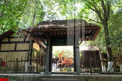 Hình ảnh file gốc File tranh gốc in tranh tường nền tổng hợp H10171 (chất lượng cao)