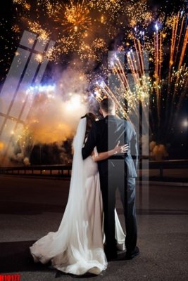 File tranh File tranh gốc in tranh tường nền tổng hợp H10177 (gốc) chủ đề động vật