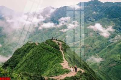 File PSD File tranh gốc in tranh tường nền tổng hợp H10296 (bản gốc) cho nhà in