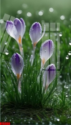 File gốc File tranh gốc in tranh tường nền tổng hợp H10460 (cho in ấn) từ Filetranh.com