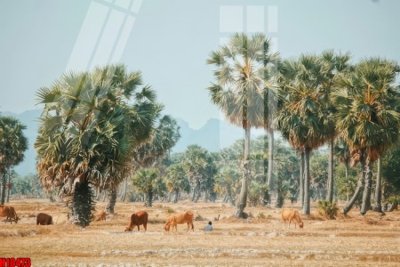 File ảnh File tranh gốc in tranh tường nền tổng hợp H10473 (gốc) in standee