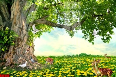 File gốc File tranh gốc in tranh tường nền tổng hợp H10549 (in tráng gương) ốp tường