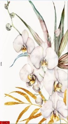 File in trần File tranh gốc in tranh tường nền tổng hợp H10570 (bản gốc) trời sao