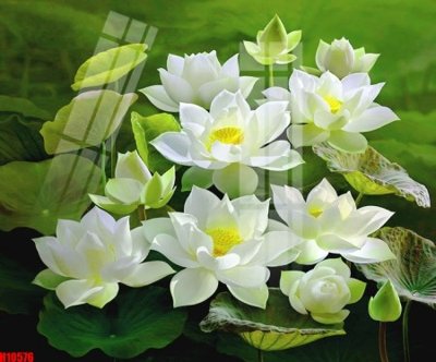 File gốc File tranh gốc in tranh tường nền tổng hợp H10576 (trang trí) phòng trẻ em