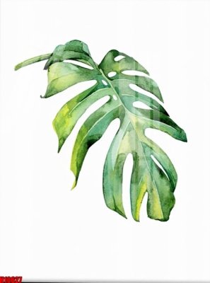 File tranh File tranh gốc in tranh tường nền tổng hợp H10627 (ảnh gốc) sắc nét hoàn hảo