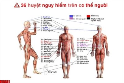 Tải về file gốc File tranh gốc in tranh tường nền tổng hợp H10631 (chuẩn in ấn)