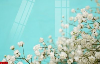 File tranh File tranh gốc in tranh tường nền tổng hợp H10676 (ảnh gốc) in trần xuyên sáng