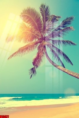 File tranh File tranh gốc in tranh tường nền tổng hợp H10677 (gốc) chủ đề tĩnh vật