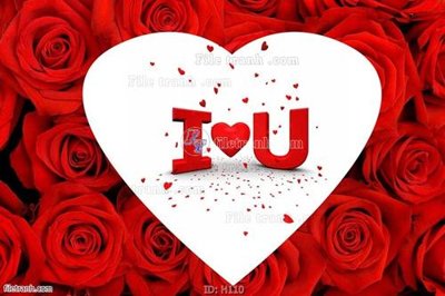 File in trần file tranh hoa H110 (bản gốc) hoa văn