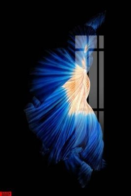 Tải file File tranh decor tranh bộ treo tường tổng hợp H1113 (gốc) để in ấn ngay